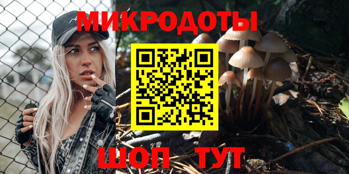 Галлюциногенные грибы Psilocybe Бузулук