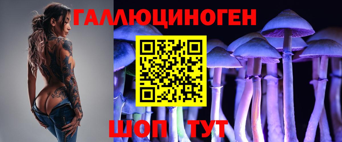 Псилоцибиновые грибы мухоморы  даркнет сайт  Бузулук  Вход с VPN  Псилоцибиновые грибы мухоморы 