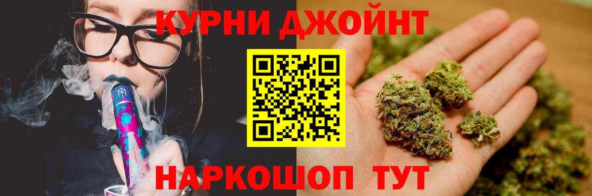 Конопля сатива Бузулук